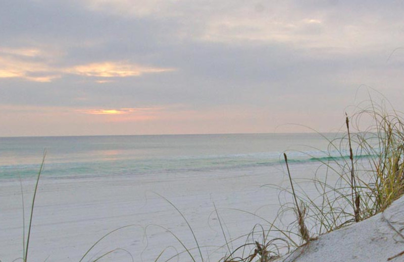 Beach at Sunnyside Beach & Tennis Resort.