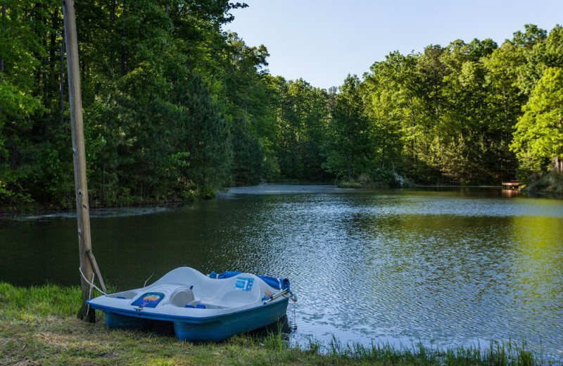 Lake with paddle boat at Mountain Oasis Cabin Rentals.