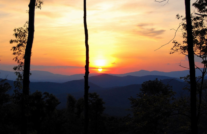 View from cabin at Mountain Getaway Cabin Rentals.