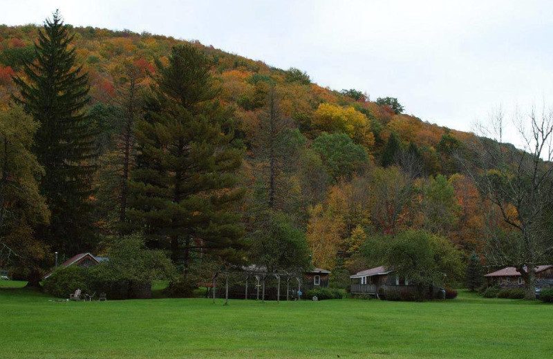 Mountain view at Cold Spring Lodge.