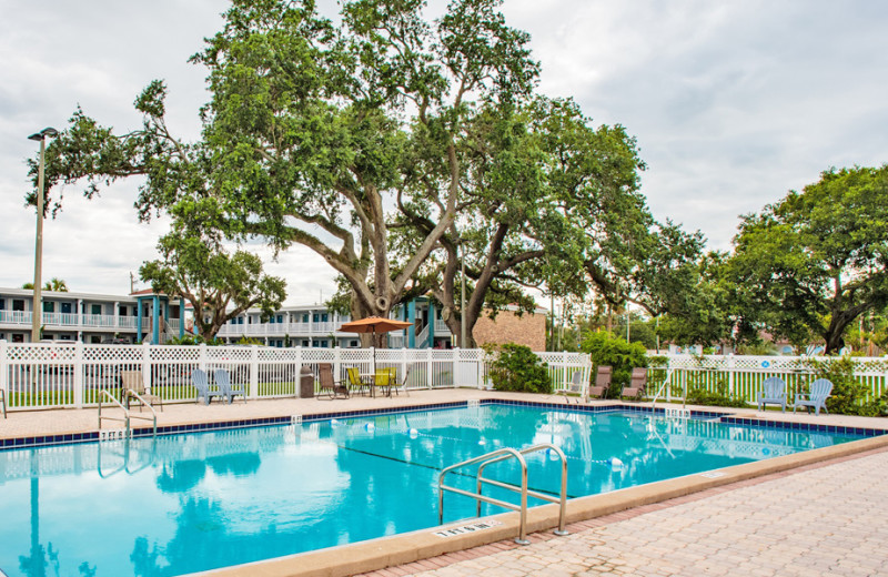 Outdoor pool at Southern Oaks Inn.