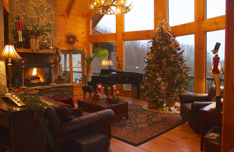 Cabin living room at Cabin Rentals of Georgia.