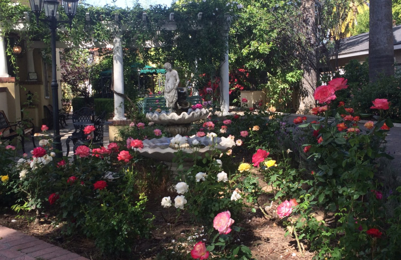 Garden at French Inn.