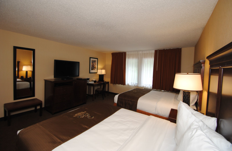 Two bed guest room at Black Swan Inn.