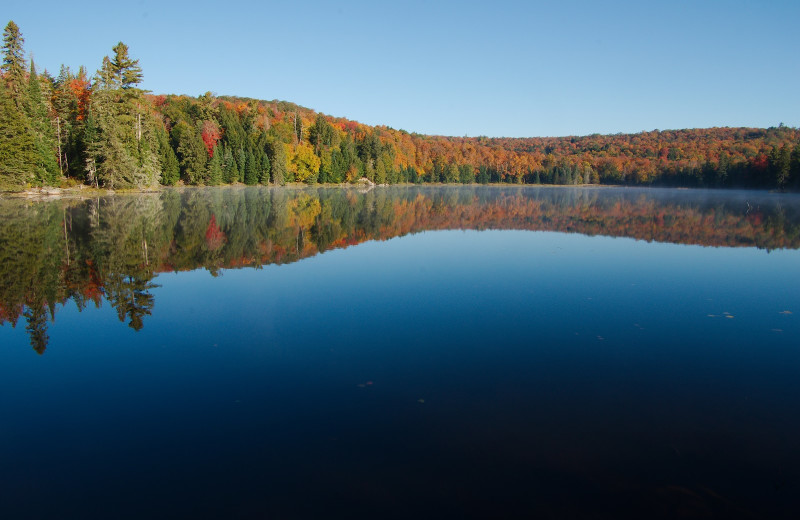 Lake view at Algonquin Eco-Lodge.