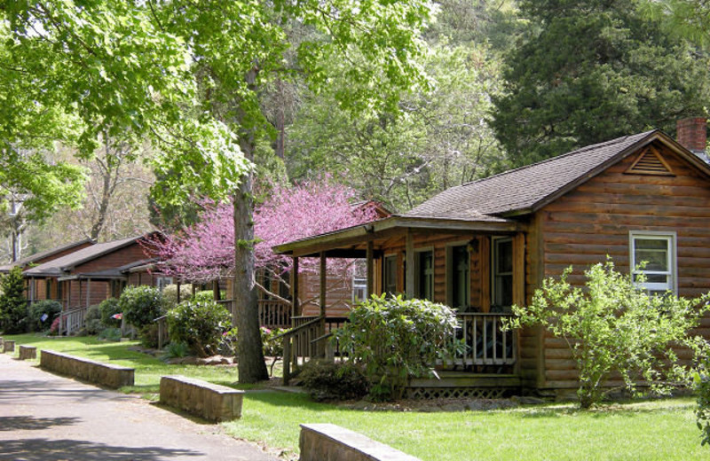 Cabin Exterior at Brookside Cabins