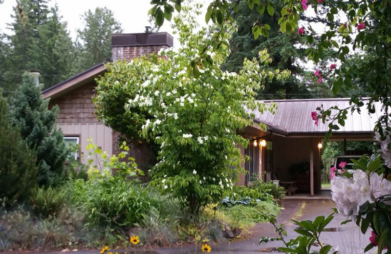 McKenzie River Mountain Resort (Finn Rock, OR) Resort Reviews