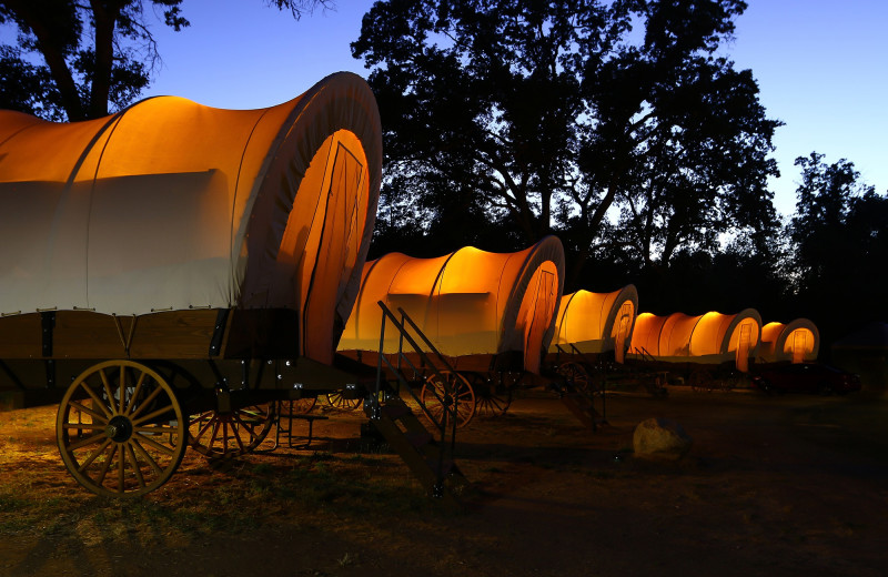 Wagons at Yosemite Pines.