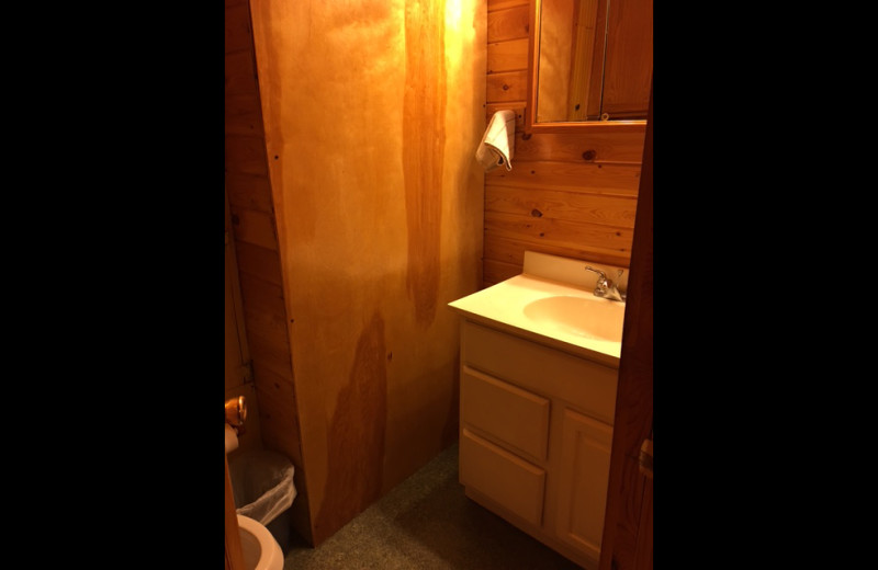 Cabin bathroom at Linder's HideAway Cabins.