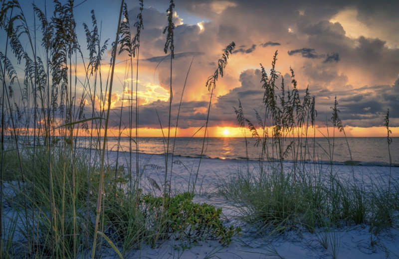 Beach at Anna Maria Island Beach Rentals, Inc.