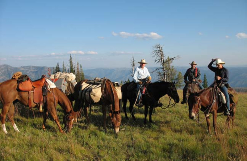 Trail riding at Silver Spur Outfitters.