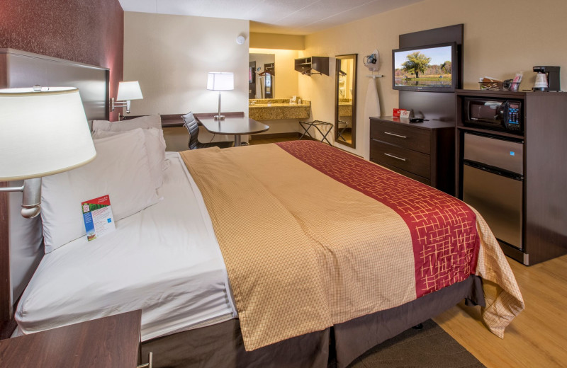 Guest room at Red Roof Inn - Benton Harbor.