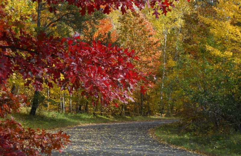 Path at Wilderness Resort Villas.
