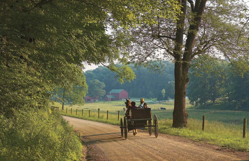 Carriage ride at Berlin Grande Hotel.