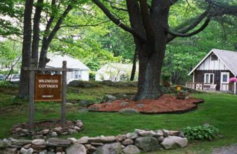 Wildwood Cottages Kennebunkport Me Resort Reviews