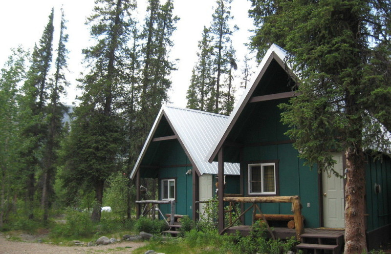 Cabin exterior at Denali Perch Resort.