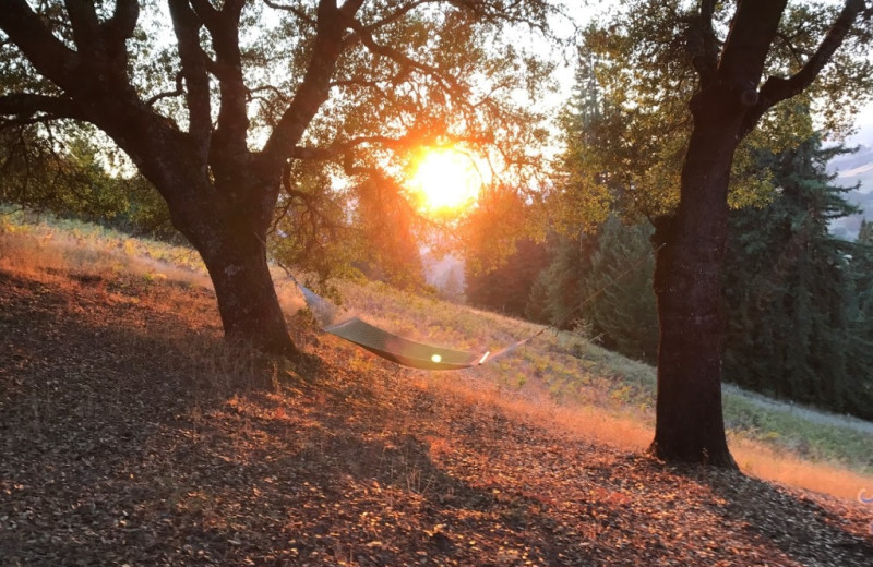 Hammock at Anderson Valley Vacation Rentals.