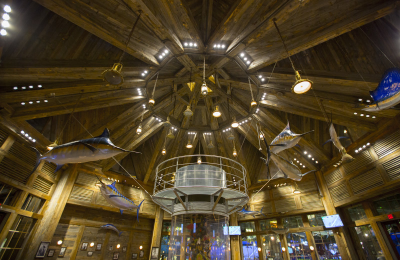 Dining at Big Cypress Lodge.