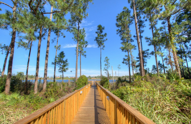 Walk way to sun deck at Lake Eve Resort.