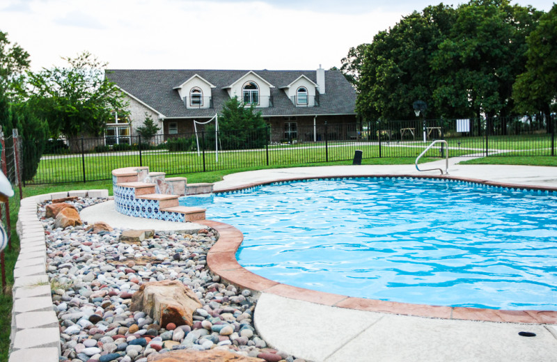 Outdoor pool at MD Resort Bed & Breakfast.