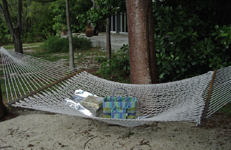 Hammock at Rock Reef Resort.