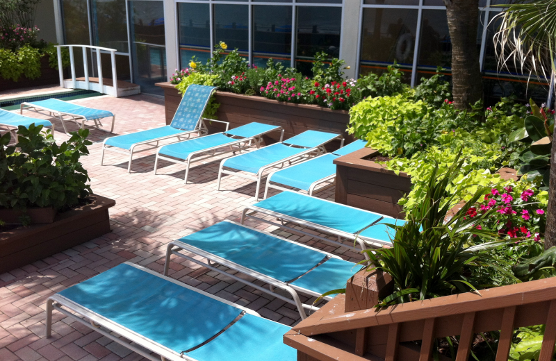 Sun chairs at Water's Edge Resort.