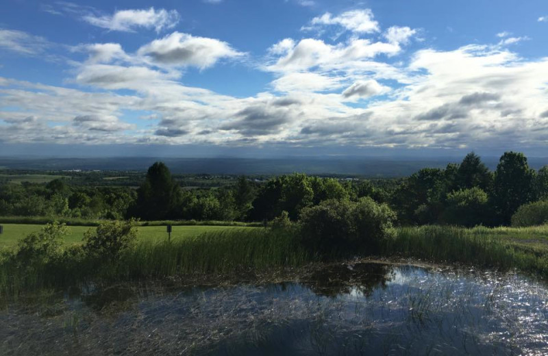 View from Timberview Resort.