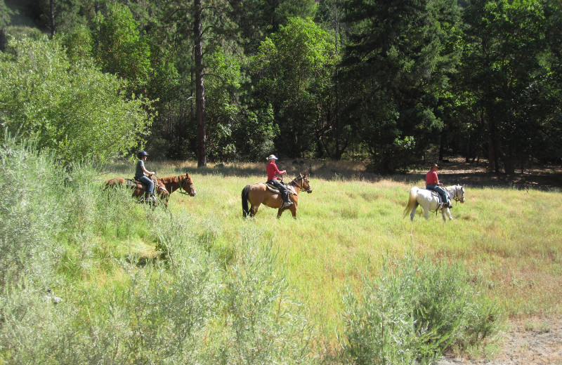 Horseback riding at Marble Mountain Guest Ranch.