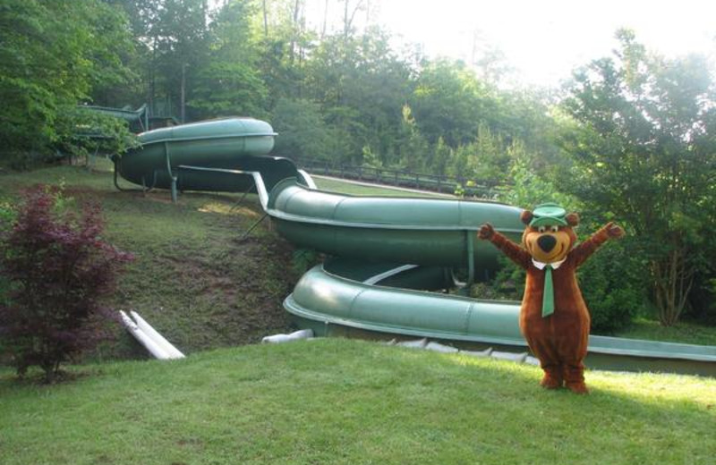 Yogi and the 300 ft slide at Yogi Bear's Jellystone Park Marion.