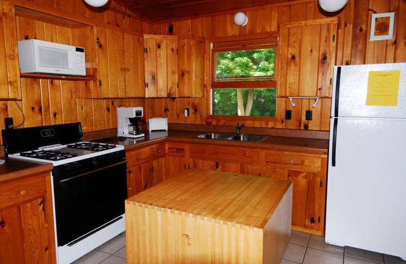 Cabin kitchen at Geiger's Trails End.