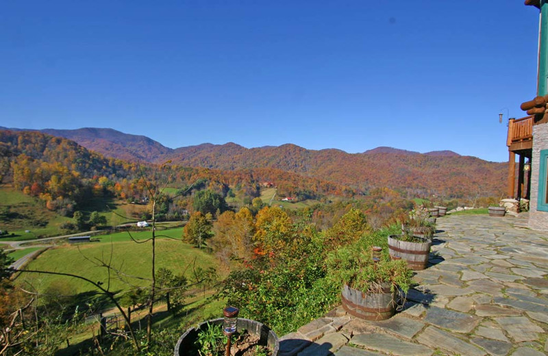 View from Wildberry Lodge.