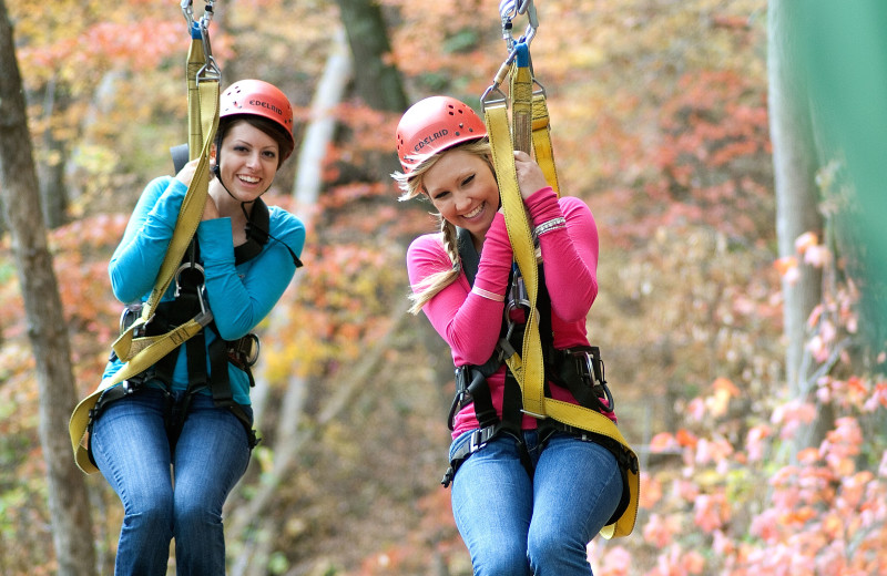 Zip line at ACE Adventure Resort.