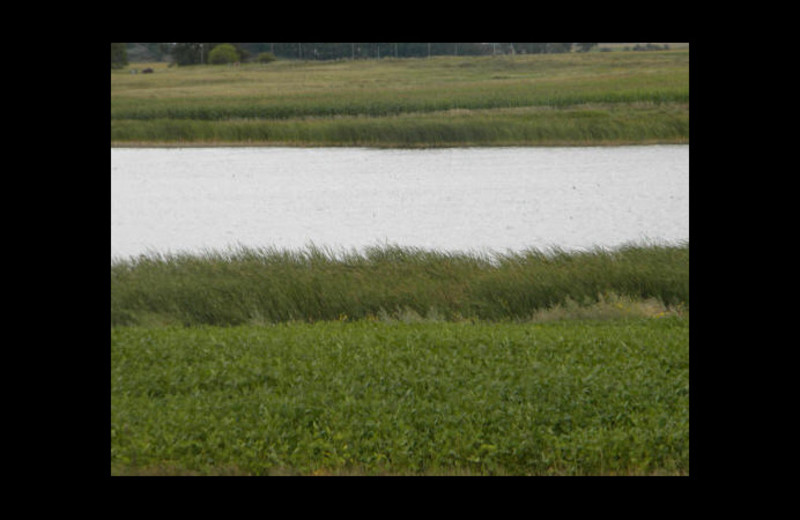 Lake at Prairie Pothole Lodge.