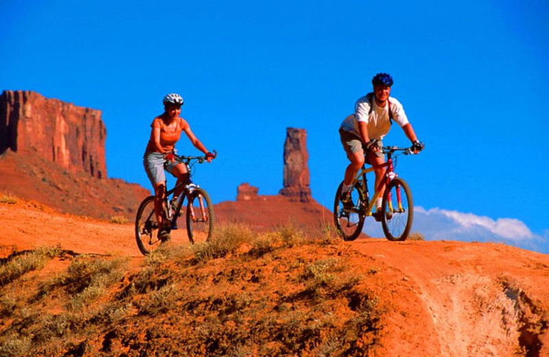 Mountain biking near Big Horn Lodge.