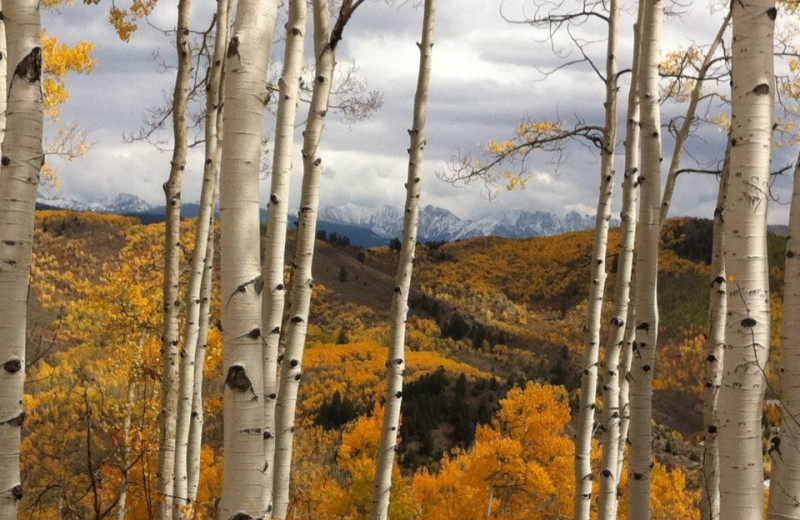 Scenic views at East West Resorts Beaver Creek.