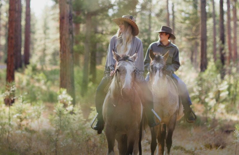 Horseback riding at The Green O.