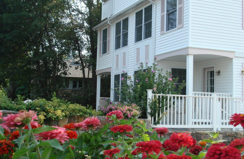 Exterior view of Pink Blossoms Resort.