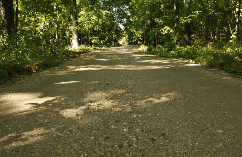 Trail at White Birch Lodge.