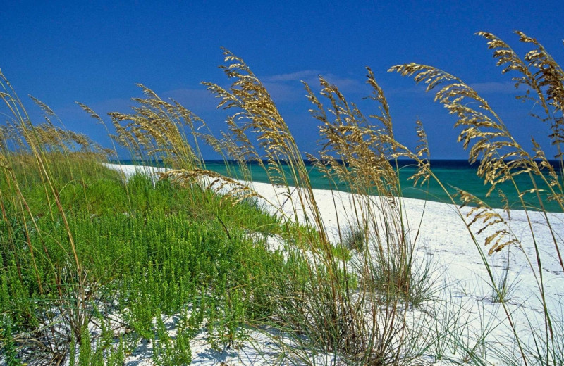 Beach at Sunset Properties.