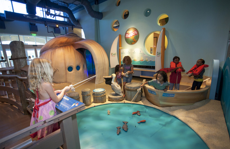 Children's museum near Marco Escapes.