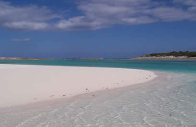 Beach at Hotel Higgins Landing.