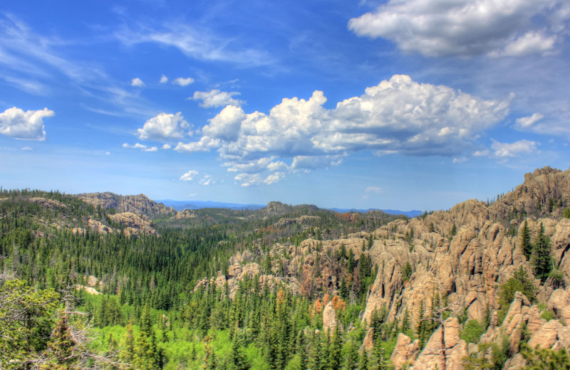 Mountains near Rushmore Express Inn & Family Suites.