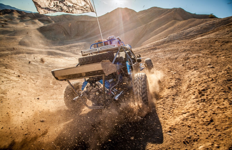 ATV at Havasu Springs Resort.
