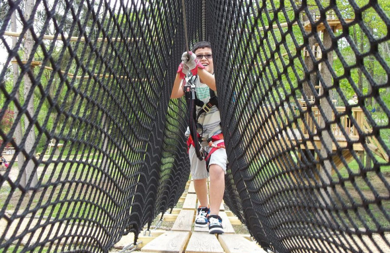 Rope course at Fernwood Resort.