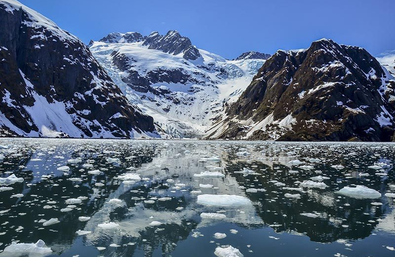 Glaciers at Big Sky Charter & Fishcamp.