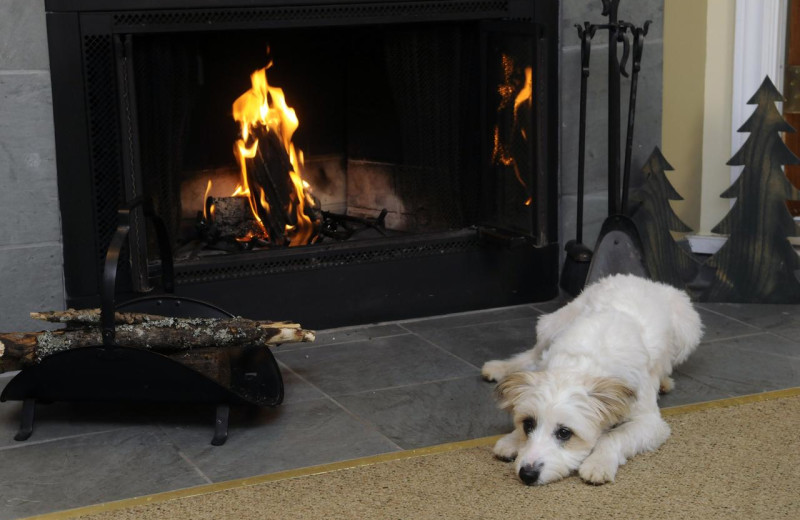 Pets welcome at Rocky Crest Golf Resort.