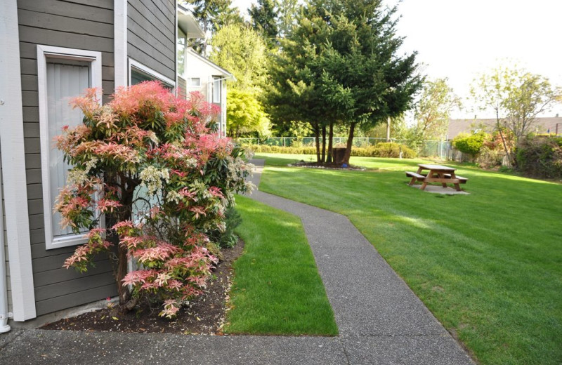 Exterior view of Ocean Trails Resort.