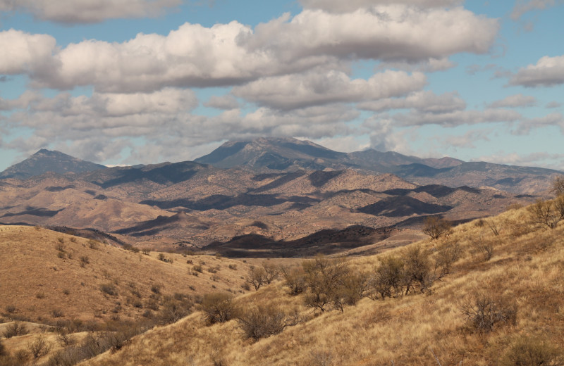 Scenic view at Circle Z Ranch.