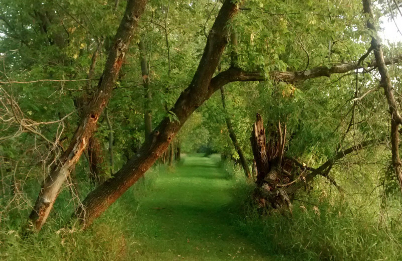 Hiking at Woodlawn Resort.