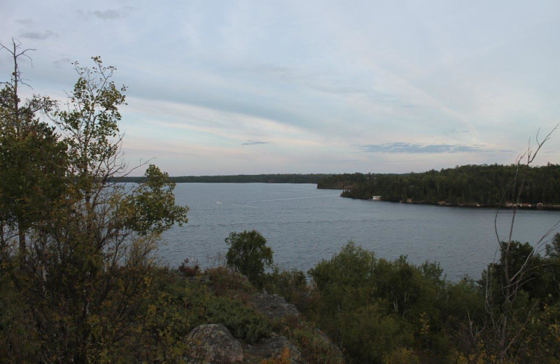 Scenic view at Tallpine Lodges.